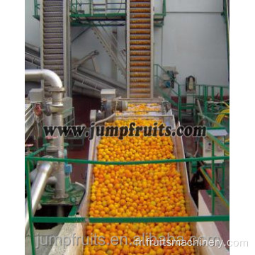 Canning Lemonade Orange Fruit Juice Production